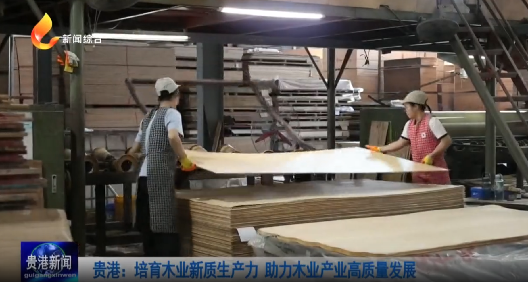 贵港：加快把木材加工培育成千亿级产业集群
